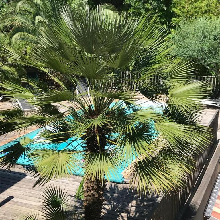 Ravissante villa tout bois avec piscine chauffée - Maison 4 Chambres - 14