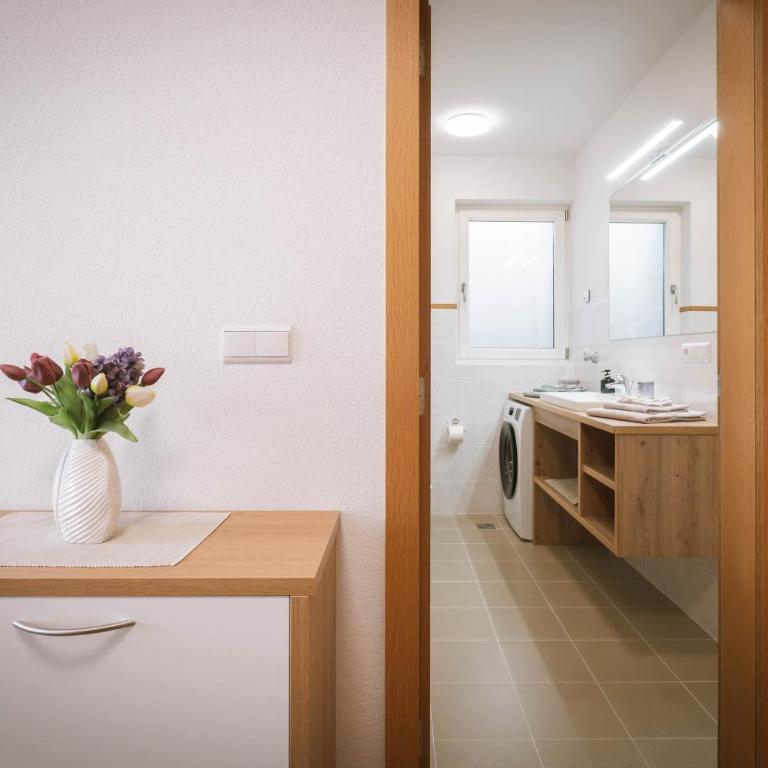 dolomites view apartment - Appartamento con 1 Camera da Letto - 17