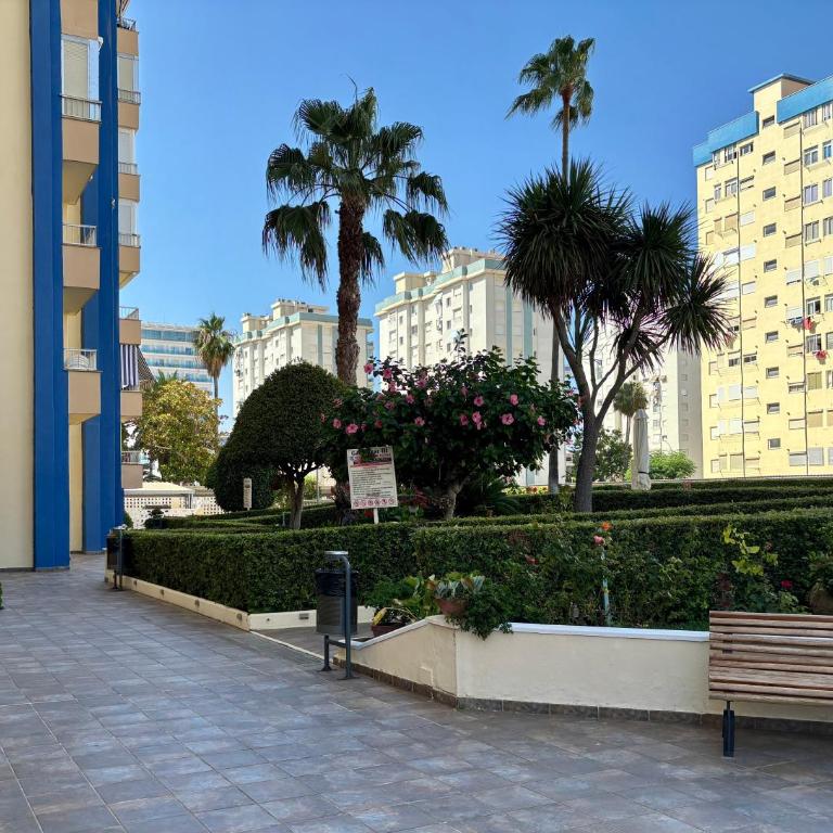 Apartamento en la Playa de Gandia - Apartamento de 1 dormitorio - 5