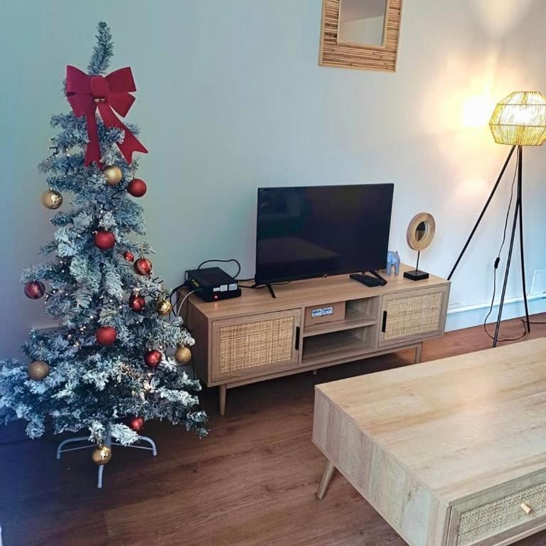Les Carmélites : central à 5 min à pied de la Gare - Appartement 1 Chambre - 19