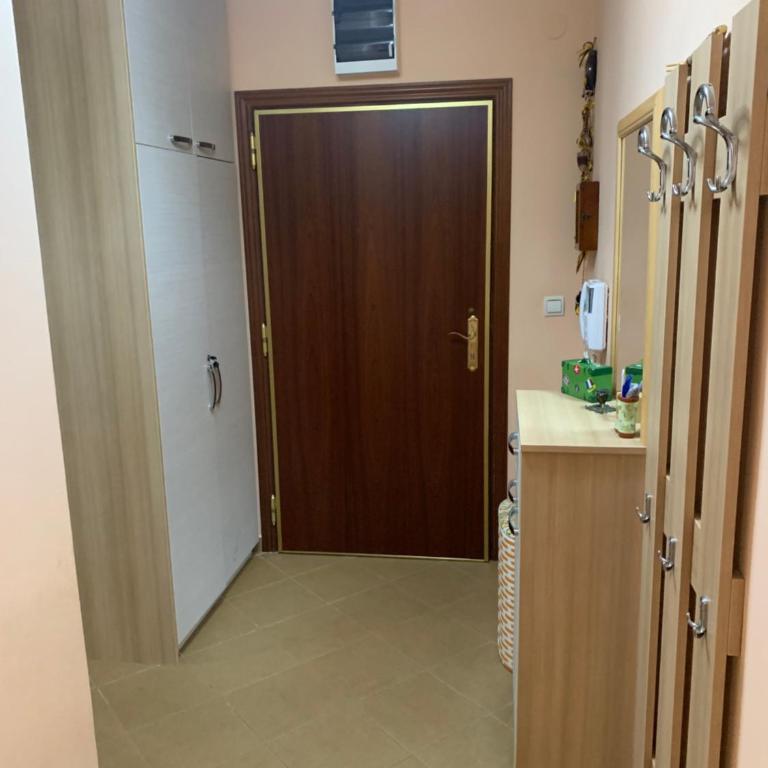 Sunny Apartment Petrovac - One-Bedroom Apartment - 8