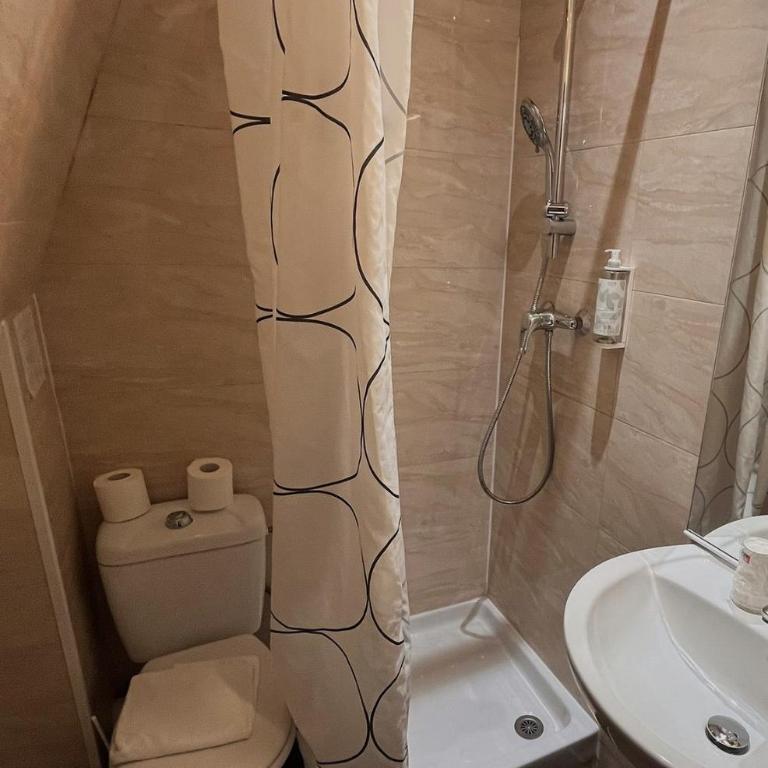 Hipotel Paris Voltaire Bastille - Chambre Simple - 9