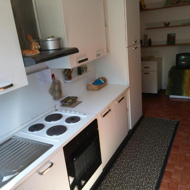 BUONAVACANZA IN MONTAGNA - Appartamento - 5
