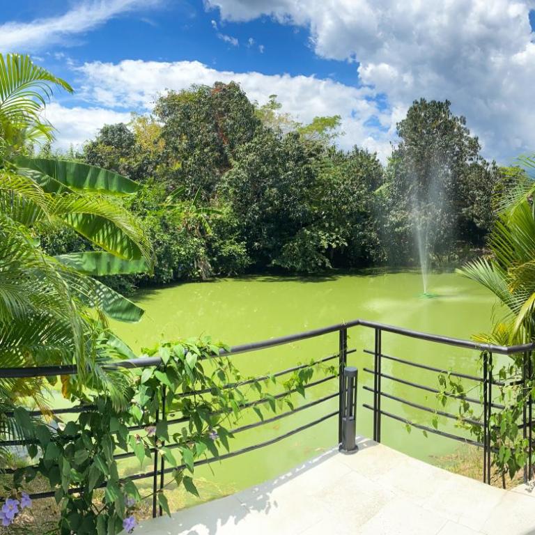 La Masia Hotel Boutique - Suite Deluxe con cama extragrande - 5