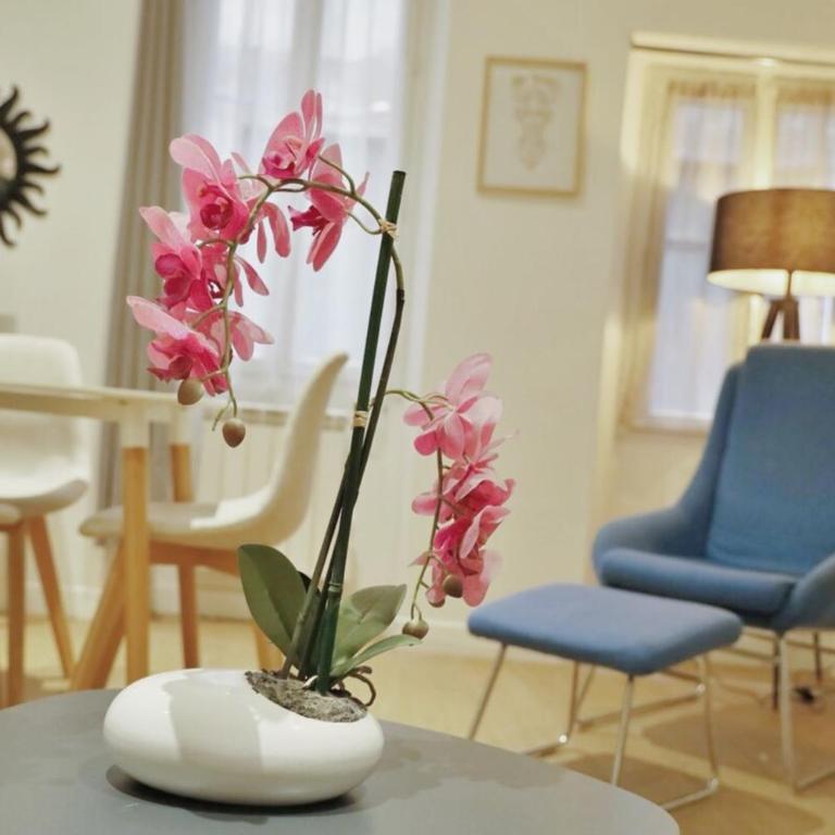 L'Escapade, appartement Cosy au Coeur de Grasse - Appartement 1 Chambre - 13