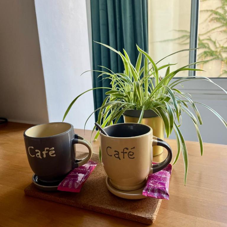 Cozy appartement en centre-ville - Apartment mit 1 Schlafzimmer - 13