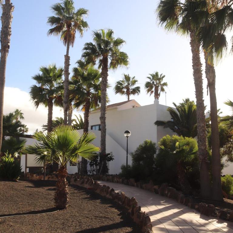 Mirada al Sol by LEIMMA en Oasis Duna - One-Bedroom Apartment - 15