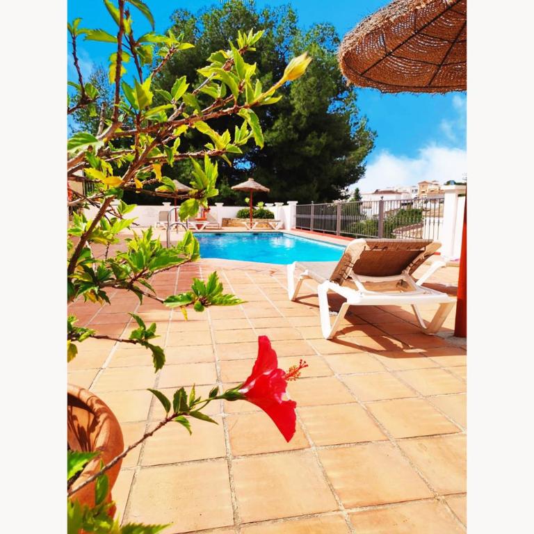 Canarias 6 - Casa Unifamiliar de 3 dormitorios - 46