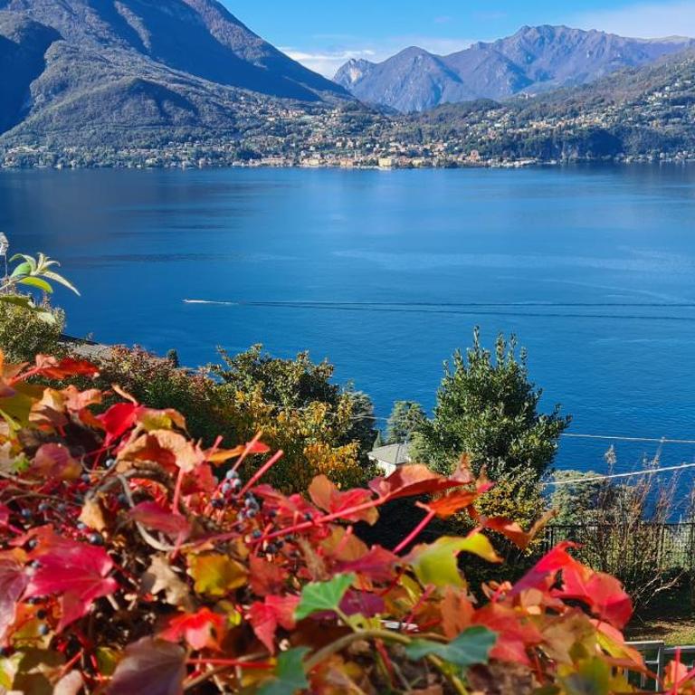 Villa gli Ulivi - Calafate Lake & Mountain View - Villa con 3 Camere da Letto - 18