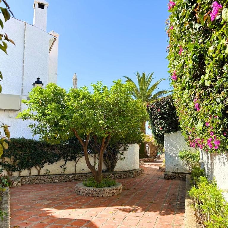 Verano Azul 72 - Apartamento con vistas - 9