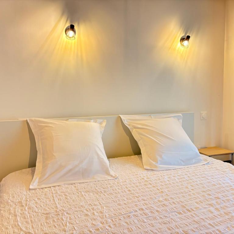 Belle maison, SPA, proche centre-ville - Maison 3 Chambres - 20
