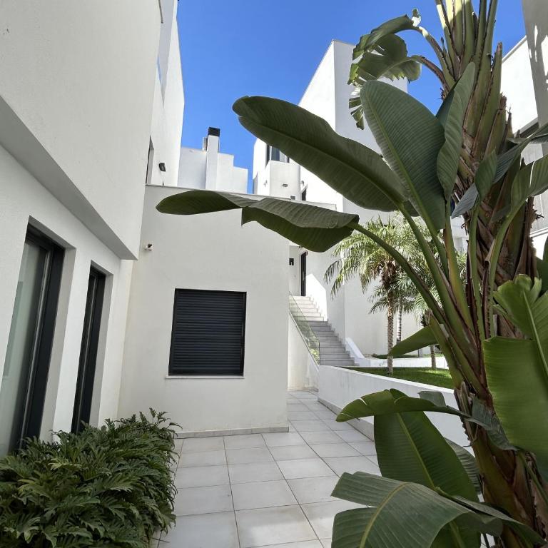 Royal Palm 10 - Apartamento con vistas - 36