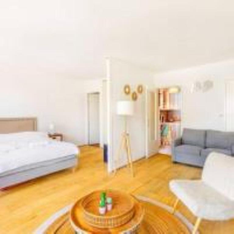 Grand Studio 50 m2 Balcon Porte de Versailles - Appartement 2 Chambres - 7