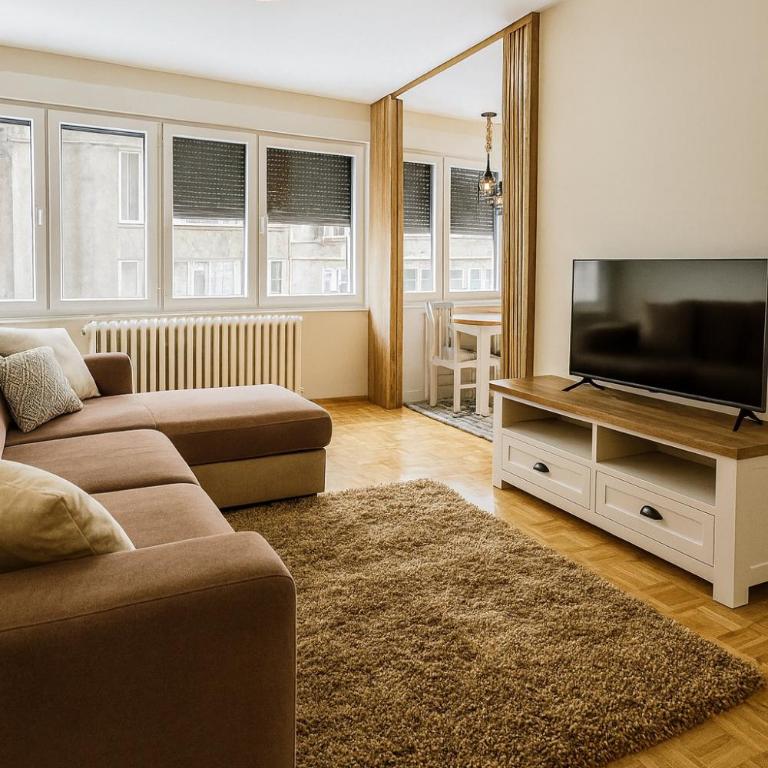 Viktor - One-Bedroom Apartment - 1
