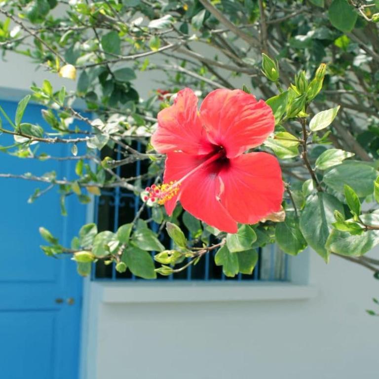 Cozy Mini Apartment 3 Blocks from the Beach - Apartamento de 1 dormitorio - 11