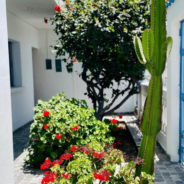 Cozy Mini Apartment 3 Blocks from the Beach - Apartamento de 1 dormitorio - 22