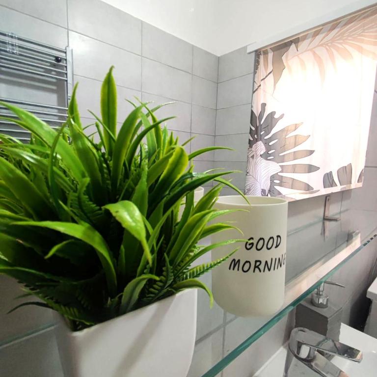 Gemelli House Rome - Monte Mario - Apartment - 21