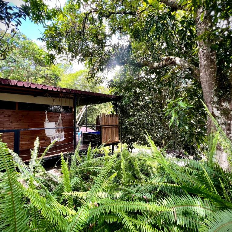 Finca El Fin del Afán - Vegara Cundinamarca - Bungalow Deluxe con vistas al jardín - 9