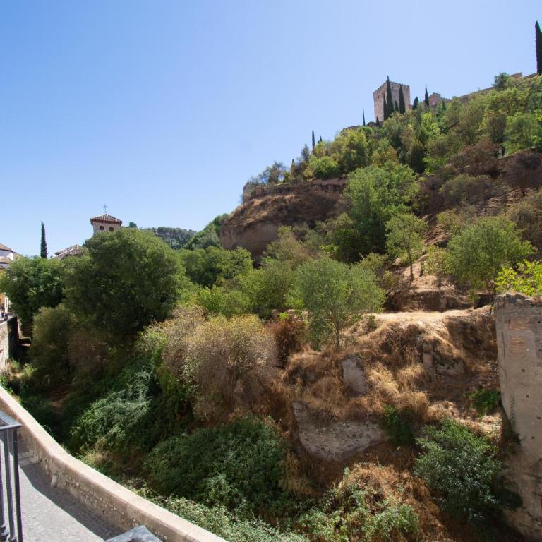 El Balcón de la Alhambra- 3 Suites - One-Bedroom Apartment - 10