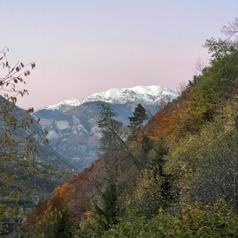 Le Sapin du Renard - Maison de Vacances 4 Chambres - 30