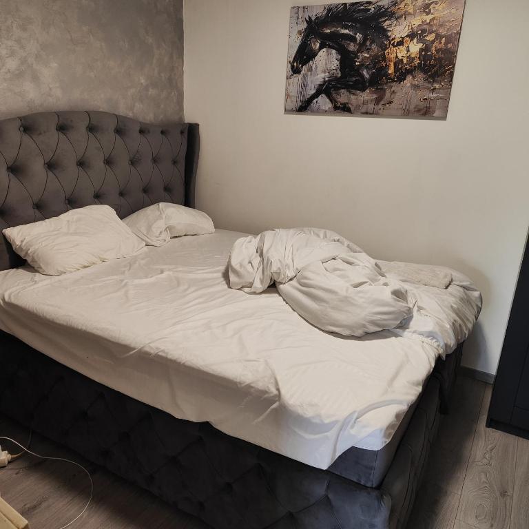 HERA apartments - Apartman sa 1 Spavaćom Sobom - 6