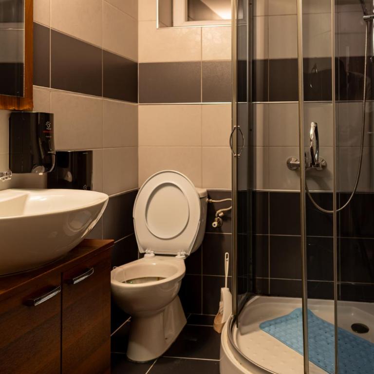 Guest House Vila Salute - Mešovita Spavaonica - 2