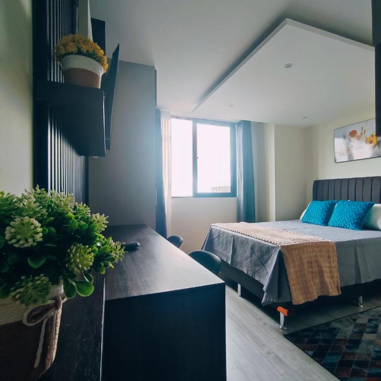 Monoambiente amplio de lujo con wifi - One-Bedroom Apartment - 5