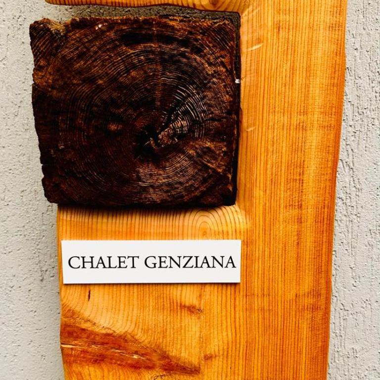 Chalet Genziana - Chalet mit 3 Schlafzimmern - 42