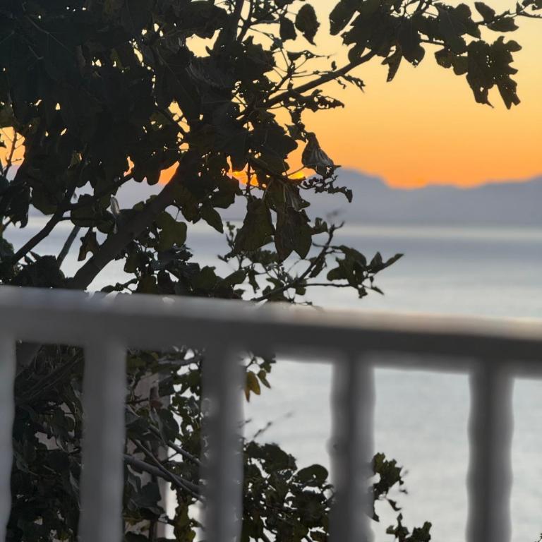 Turino house - Appartamentino su 2 Livelli - 12