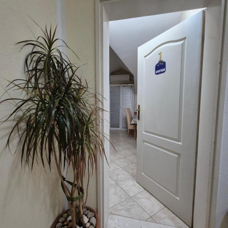 Apartmani MILOVIC - Apartman s 1 Spavaćom Sobom i Pogledom na More - 2