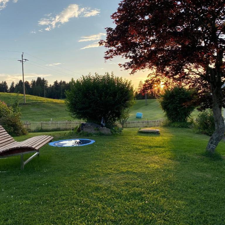 Allgäu- Ferienwohnung mit Hund - Apartment - 1