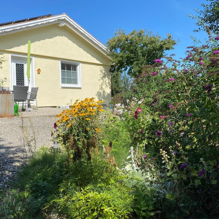 Allgäu- Ferienwohnung mit Hund - Apartment - 8