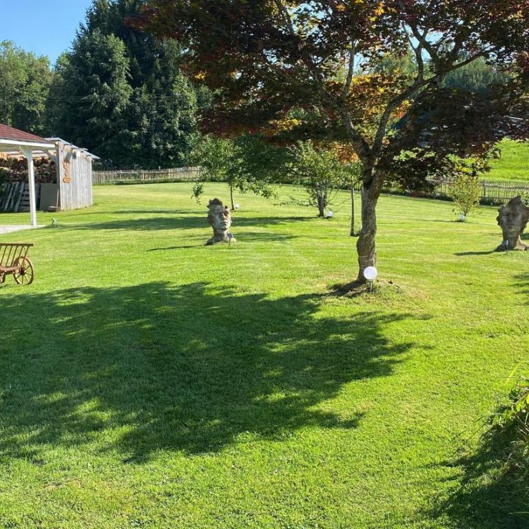 Allgäu- Ferienwohnung mit Hund - Apartment - 10