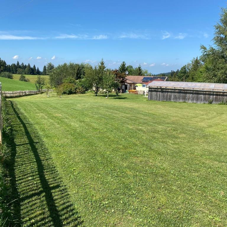Allgäu- Ferienwohnung mit Hund - Apartment - 12