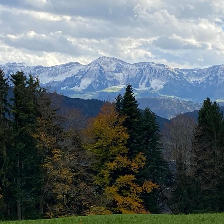 Allgäu- Ferienwohnung mit Hund - Apartment - 17