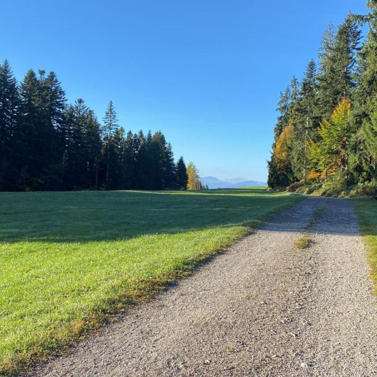Allgäu- Ferienwohnung mit Hund - Apartment - 20