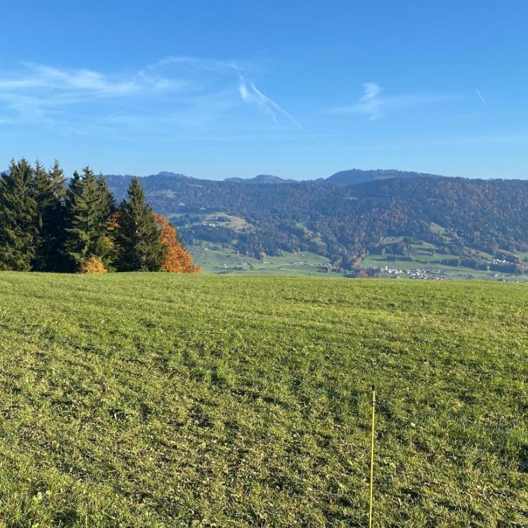 Allgäu- Ferienwohnung mit Hund - Apartment - 23