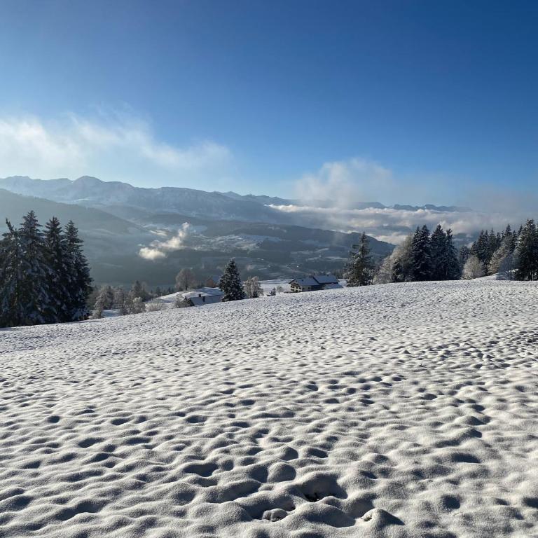 Allgäu- Ferienwohnung mit Hund - Apartment - 32