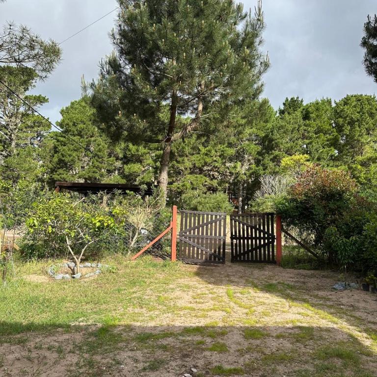 Casa en el bosque - Corazón de Ciprés - Casa de 2 dormitorios - 19
