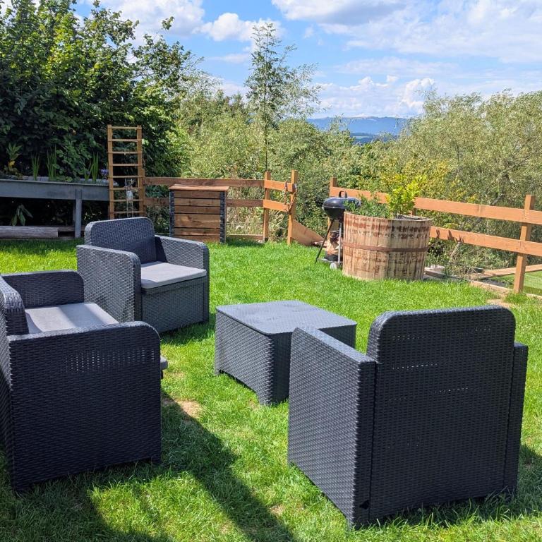Domaine de la Griffe - Appartement "Sous Dine" - Appartement 2 Chambres - 33