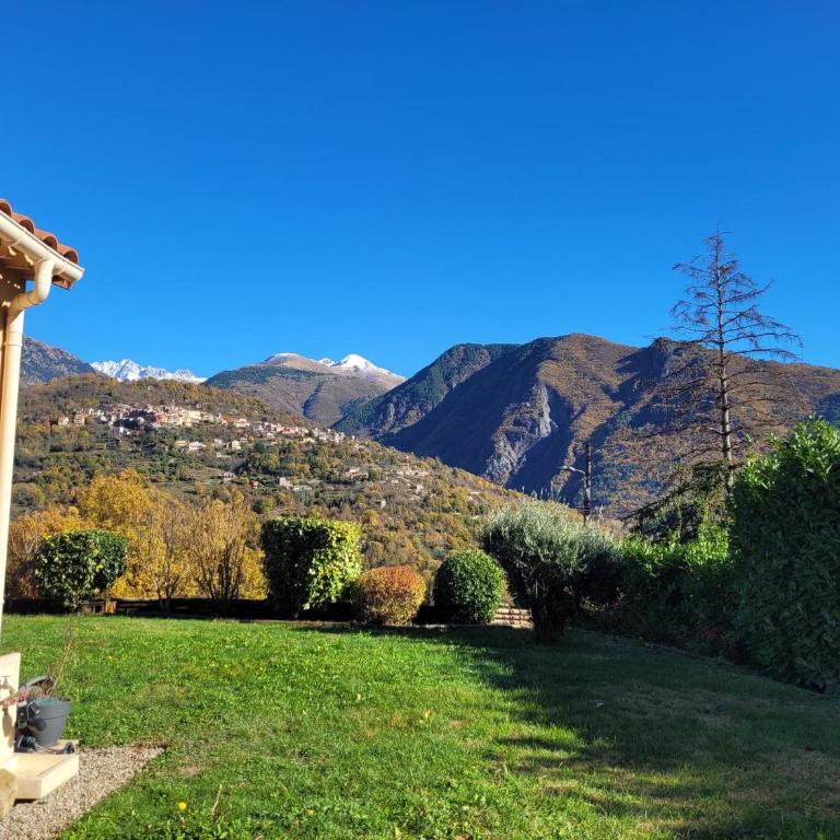 Villa les oliviers, vue montagnes avec jardin - Mercantour - Villa de 3 dormitorios - 18