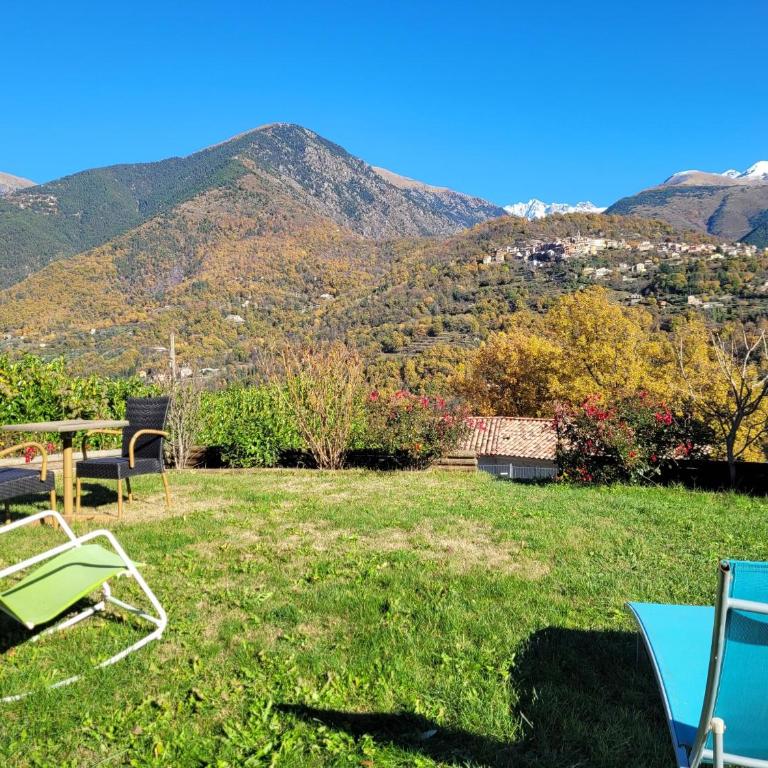 Villa les oliviers, vue montagnes avec jardin - Mercantour - Villa de 3 dormitorios - 17