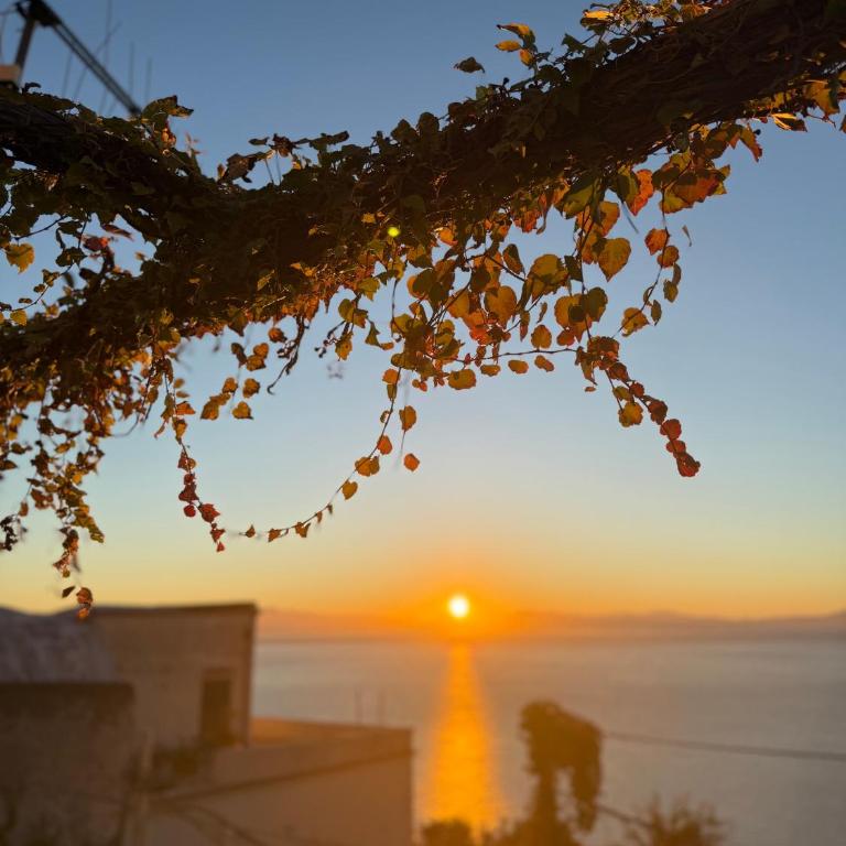 Turino house - Appartamentino su 2 Livelli - 8