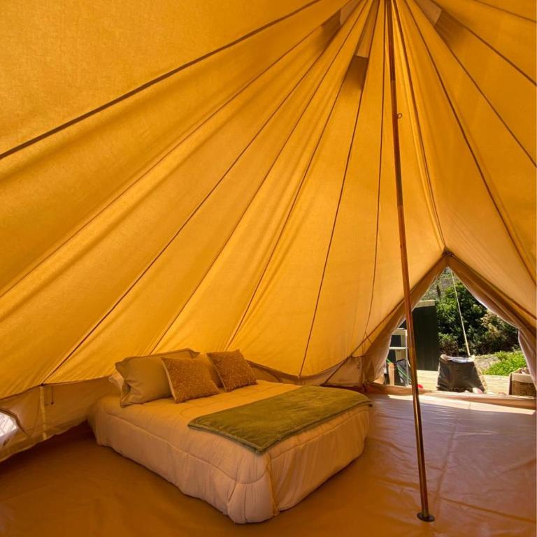 Glamping Tunquén - Tent - 7