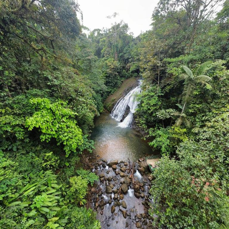 Dream house surrounded by nature - Casa de 4 dormitorios - 7