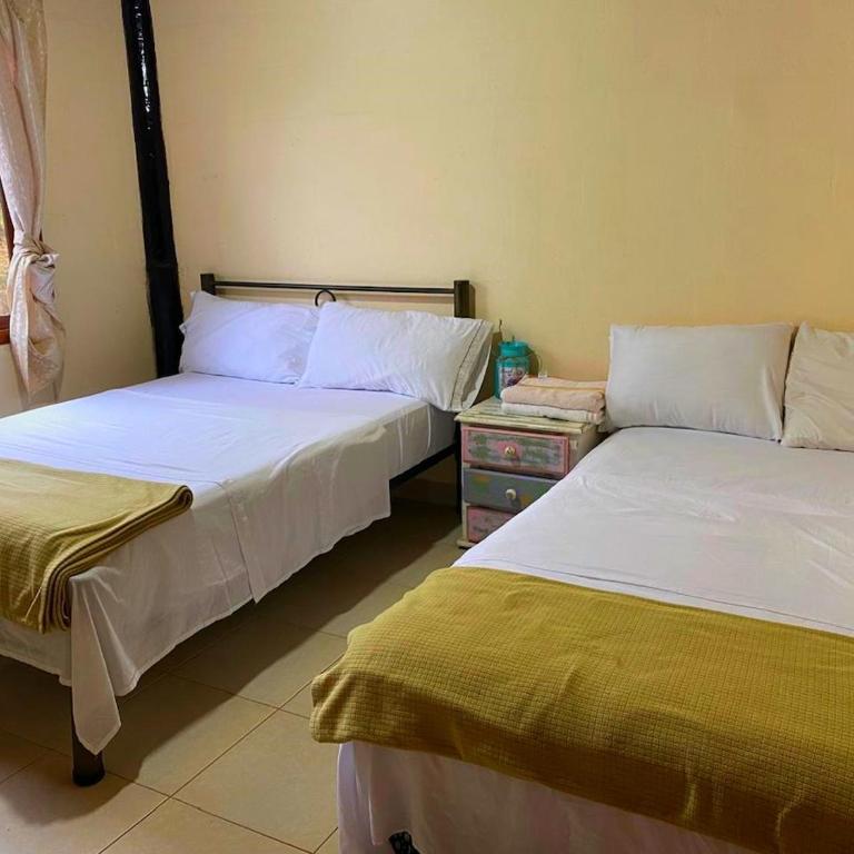 Dream house surrounded by nature - Casa de 4 dormitorios - 20