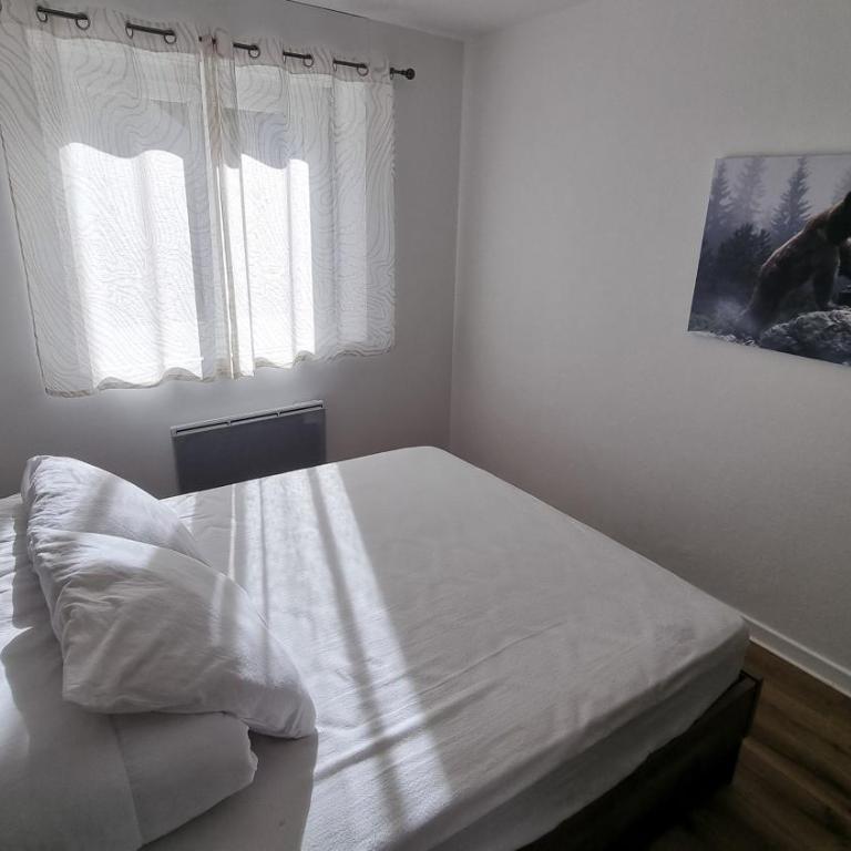 Appart RDC 70 m plein centre-ville ! - Appartement 3 Chambres - 17