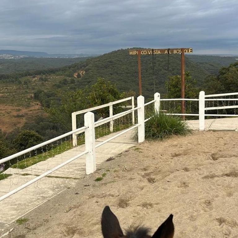 Hermosa casa en Jilotzingo con vista al bosque - One-Bedroom House - 9