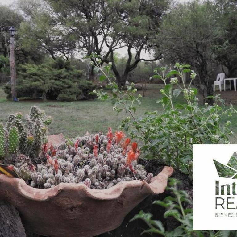 cabañas Gerom - Casa de 2 dormitorios - 5