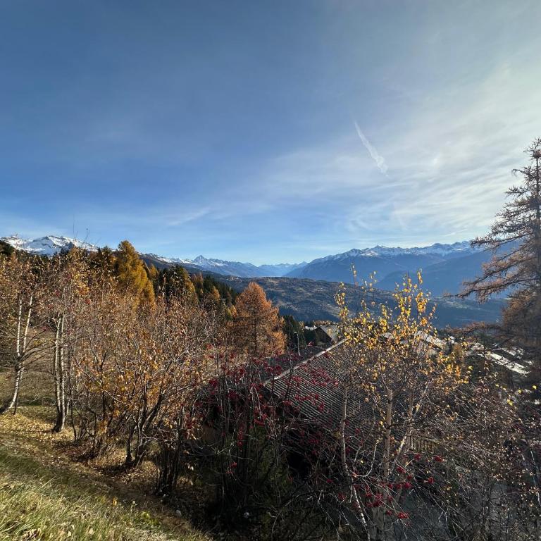 PO Grande Ourse Suite - Anzere Slopeside - Swiss Alp - Apartment mit Blick auf die Berge - 16